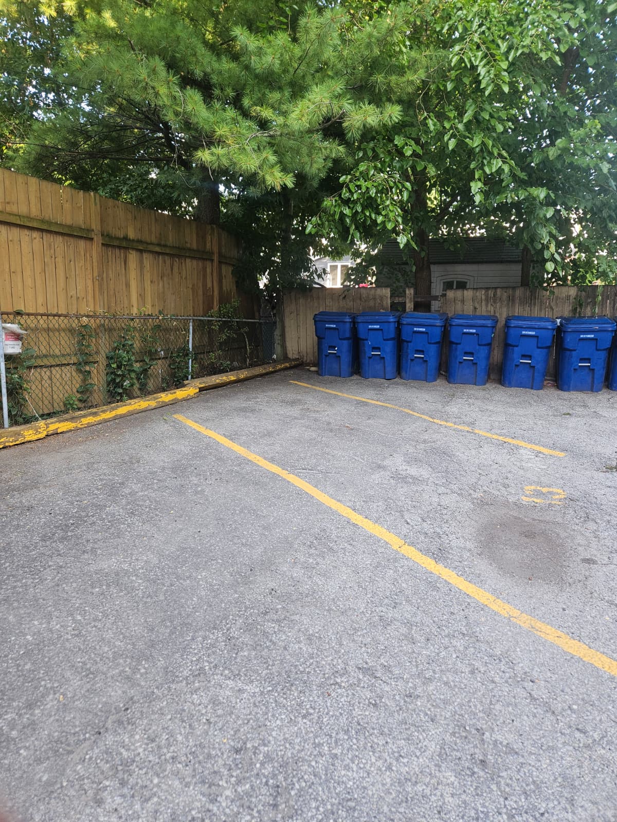 After: Backyard Cleanup - Hamilton