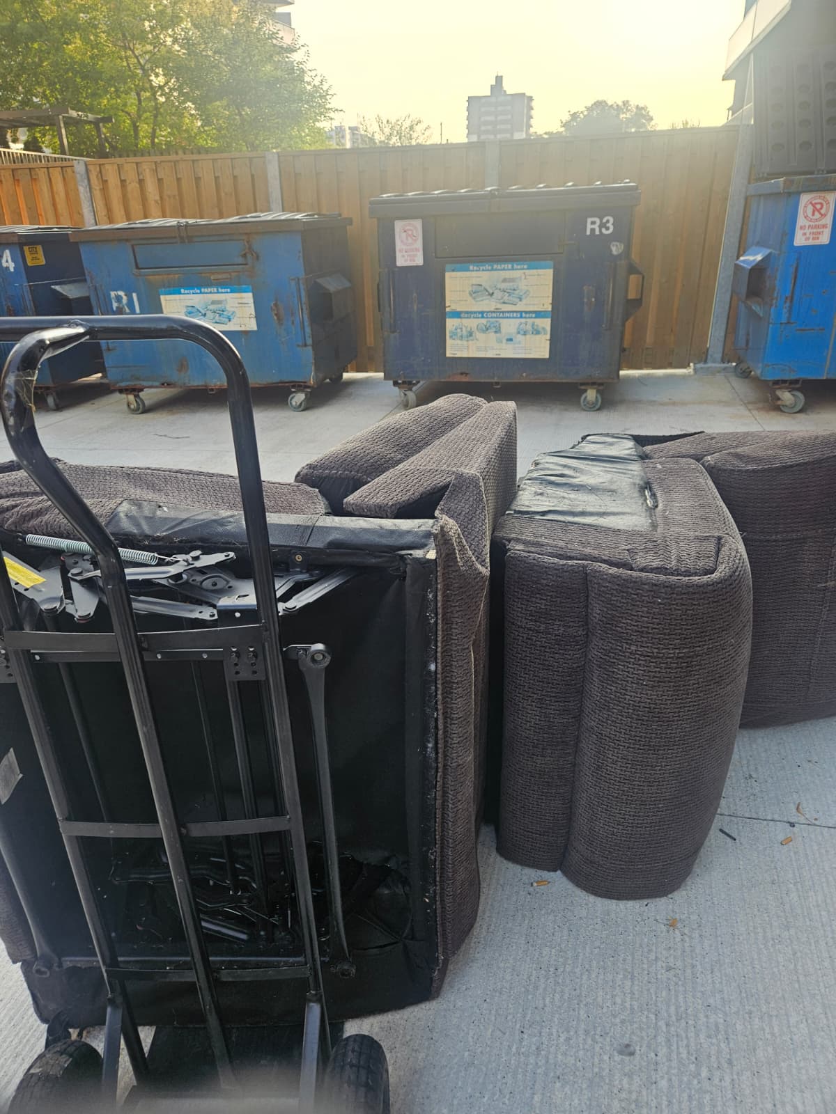 Before: Backyard Cleanup - Hamilton