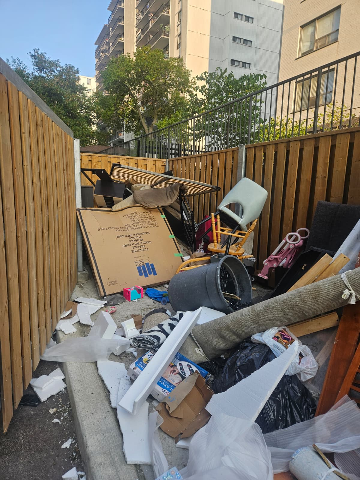 Before: Backyard Cleanup - Toronto