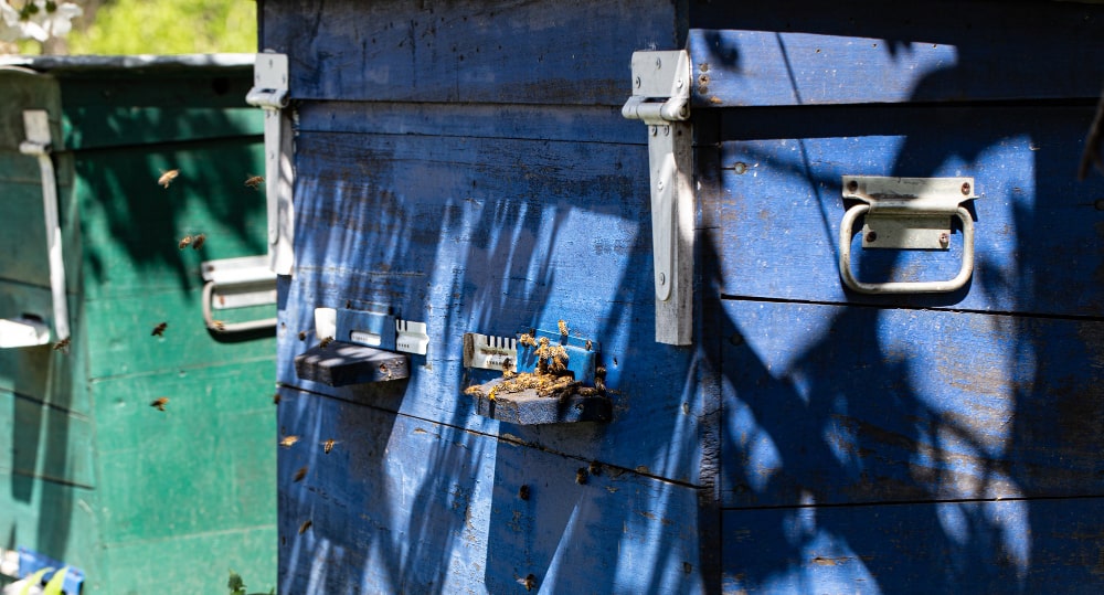 Commercial Junk Removal